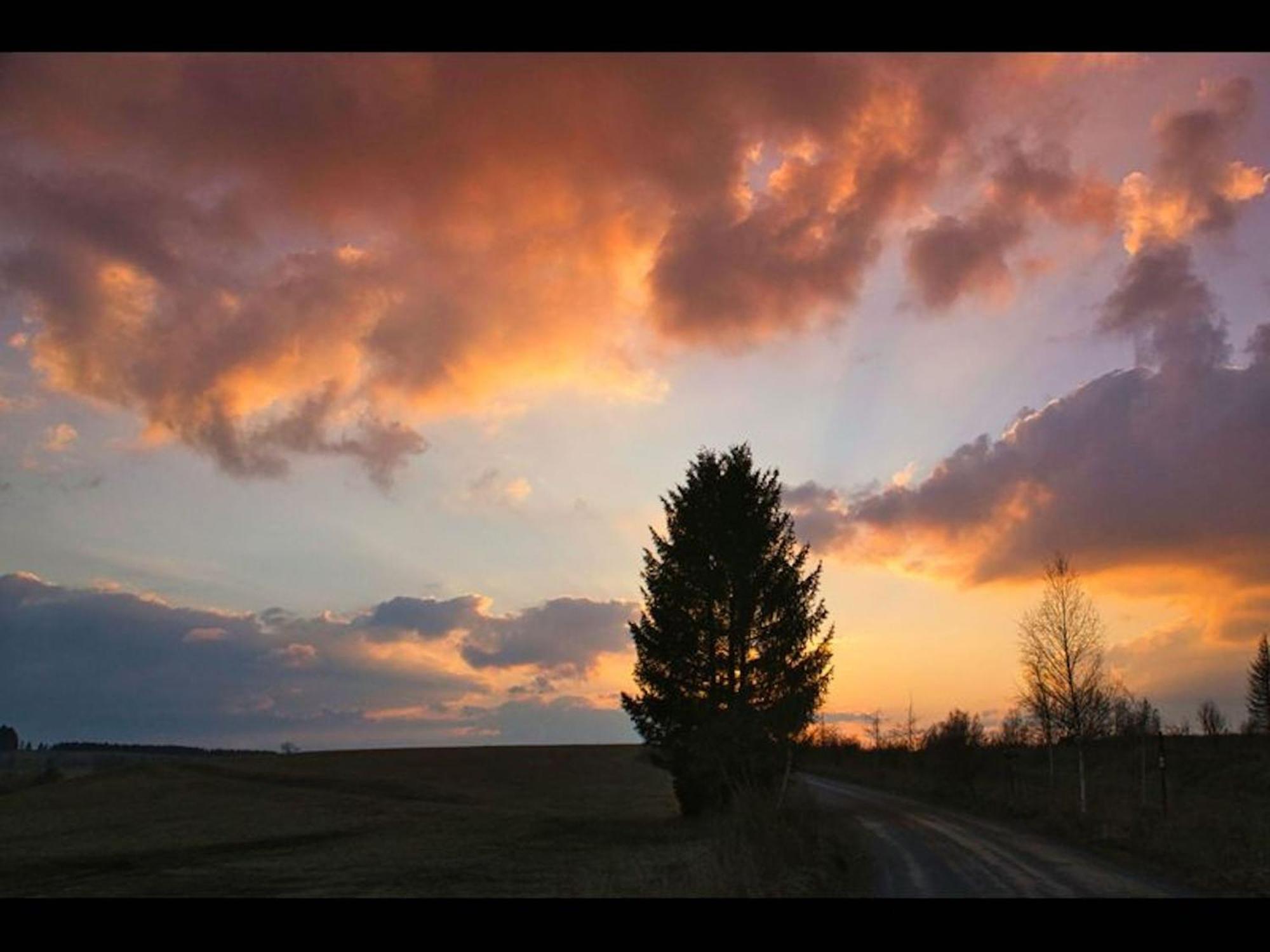 The House To Stay For Holidays Hasselfelde Esterno foto