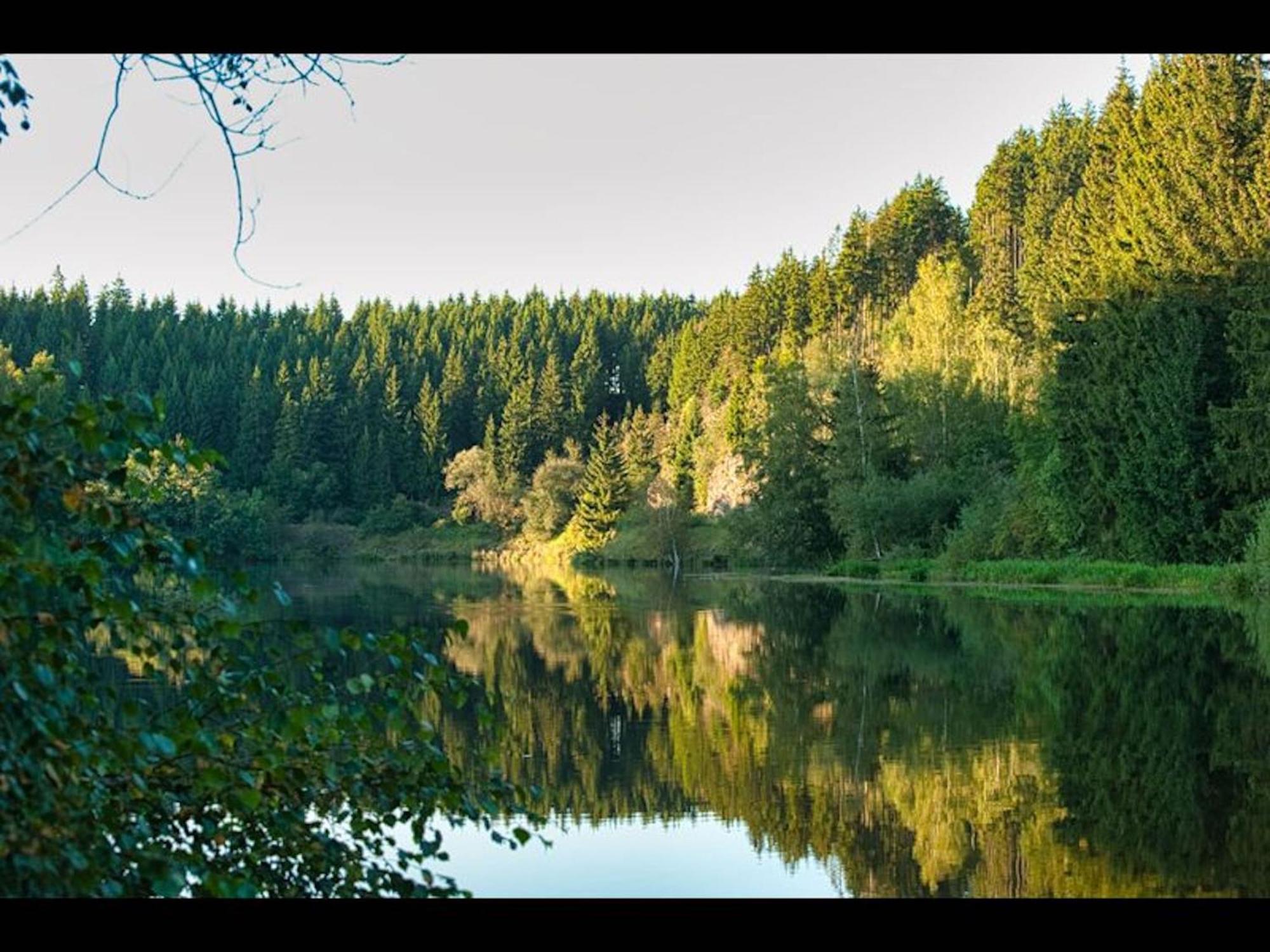 The House To Stay For Holidays Hasselfelde Esterno foto